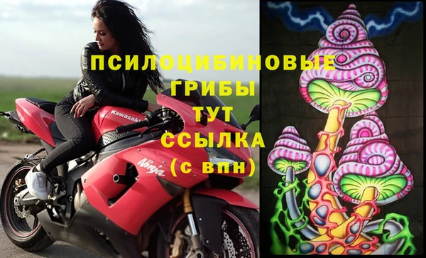 ГАЛЛЮЦИНОГЕННЫЕ ГРИБЫ Алзамай