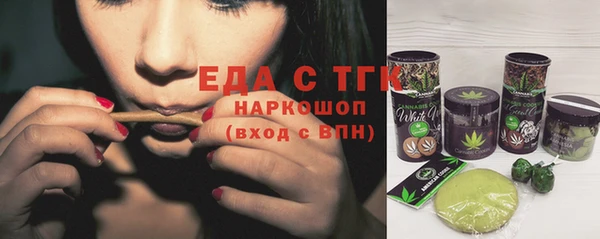индика Аркадак