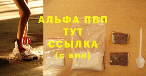 индика Аркадак