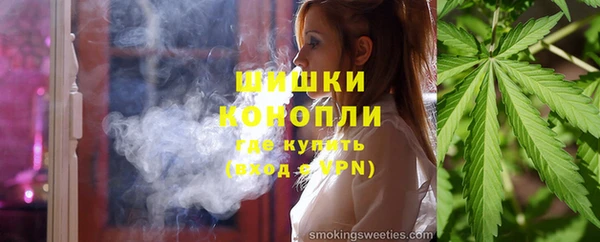 индика Аркадак