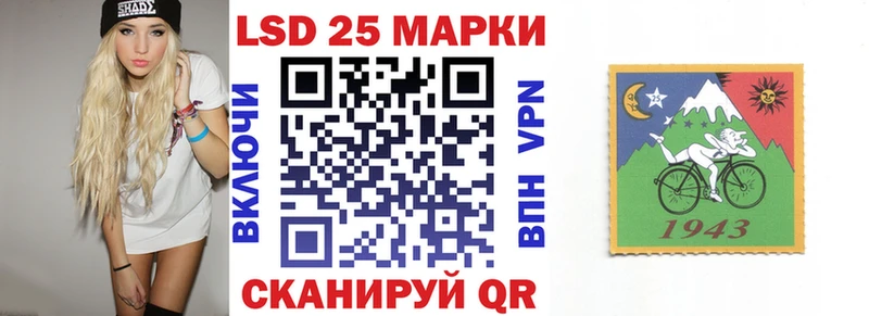 закладки  Асино  MEGA   Наркотические марки 1,8мг 